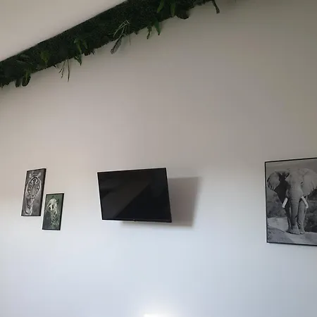 Le Safari - Comme A La Maison Apartment *