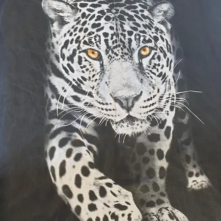 Le Safari - Comme A La Maison Apartment Guerande