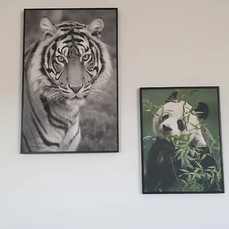 Appartement Le Safari - Comme A La Maison *